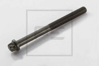 PE AUTOMOTIVE 03006700a -  Болт головки цилиндра